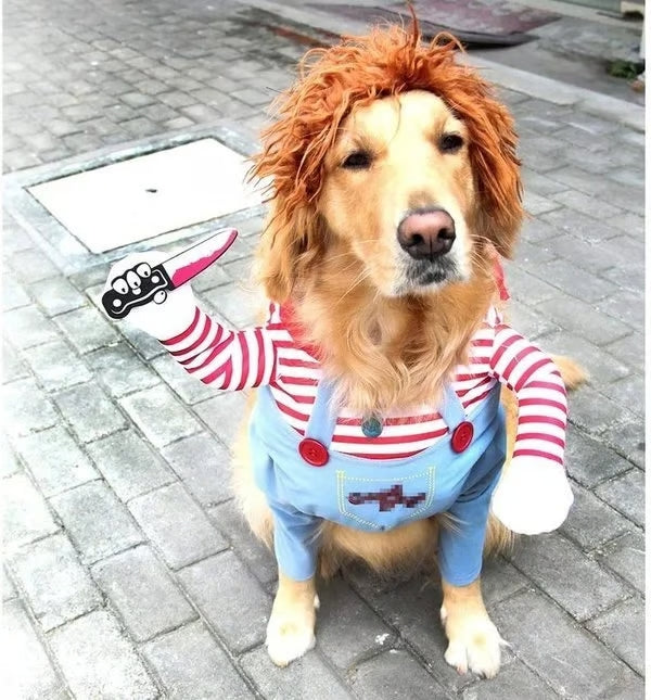 Disfarce Assustador de Halloween para Cães